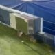La două zile de la imaginile rușinoase, pe stadionul de 1.400.000
