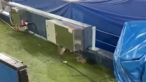 La două zile de la imaginile rușinoase, pe stadionul de 1.400.000