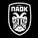 UEFA a spus "NU"! Decizia luată după accidentul în care șapte fani ai lui PAOK au murit în România