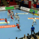 Dinamo Fuchse Berlin, ACUM, Digi Sport