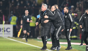 „Gesturi obscene”