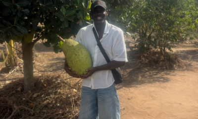 Impact instant: PATRU goluri în DOUĂ meciuri în România!