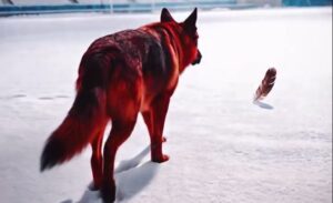 Reacții categorice, după clipul controversat postat de Dinamo înaintea derby ului cu Rapid: „Dublu înțeles”