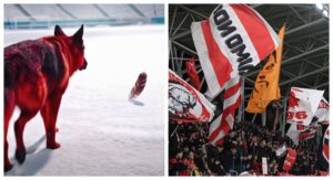 Scandal între fani şi clubul Dinamo din cauza câinelui care latră la o pană, înainte de Rapid: “Lipsă de decență”