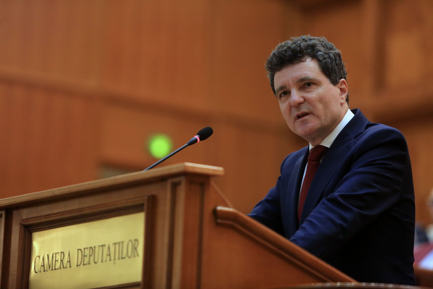 CCR a admis sesizarea președintelui Nicușor Dan
