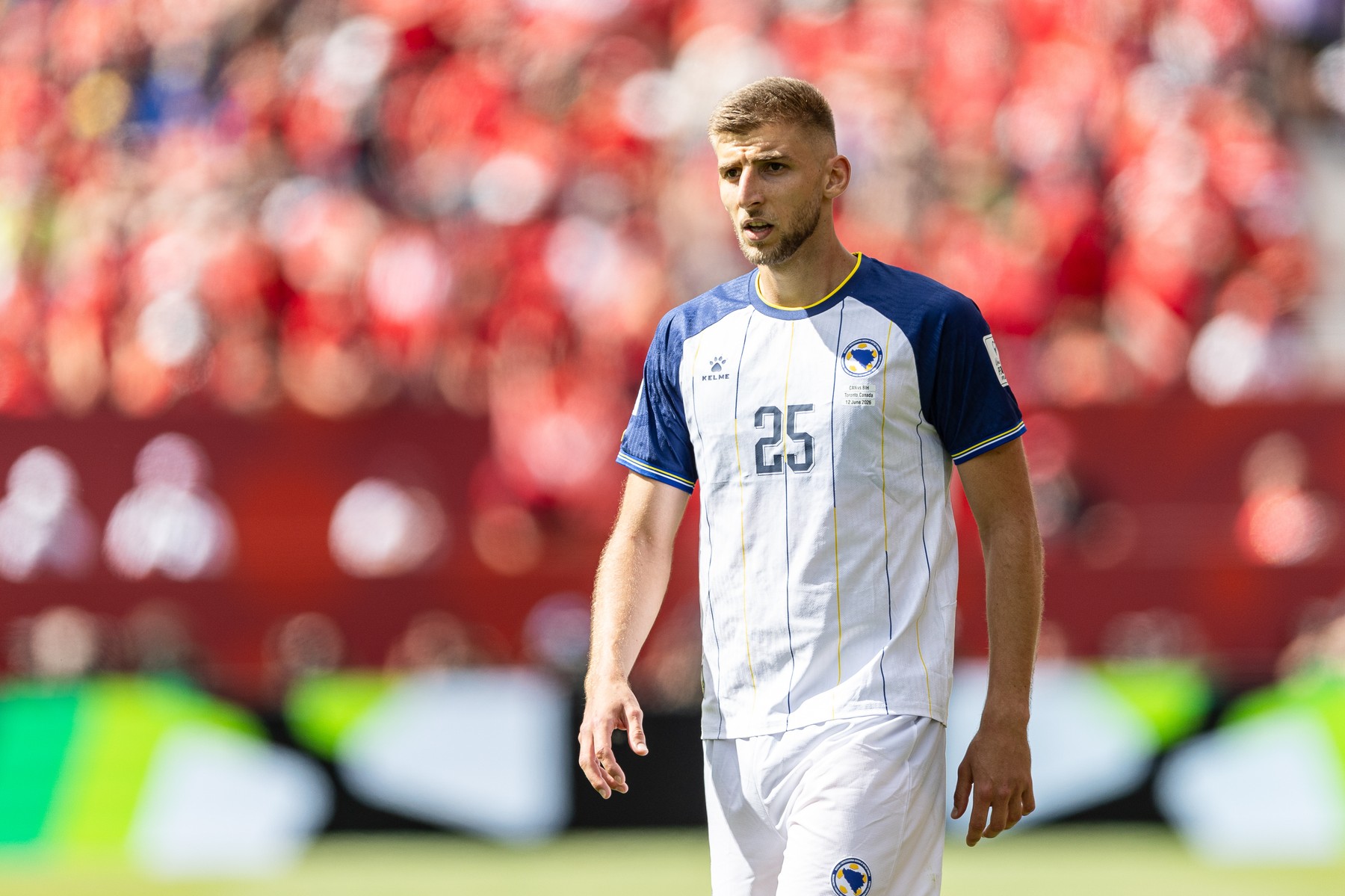 Decizia luată în cazul lui Jovo Lukic, înainte de Bosnia Qatar