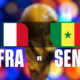 Franța Senegal, Live Text 22:00 digisport.ro